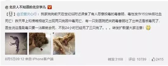 【超值优惠】Rubii ai会员月卡购买最实惠的充值方法